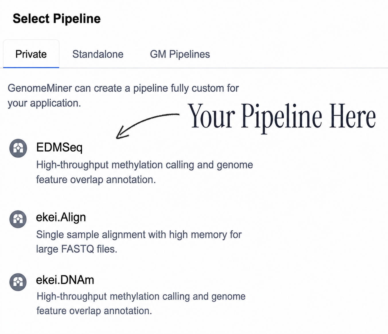 EDMSeq、ekei.Align、ekei.DNAmなどの非公開カスタムパイプラインを表示したGenomeMinerのパイプライン選択画面